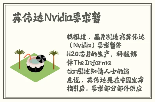 美国式禁忌5一8期
